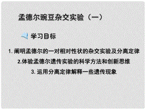 高中生物 第1章 第1節(jié) 孟德爾豌豆雜交實(shí)驗(yàn)（一）課件 新人教版必修2