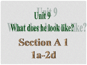 七年級英語下冊 Unit 9 What does he look like（第2課時）Section A（1a2d）課件 （新版）人教新目標(biāo)版