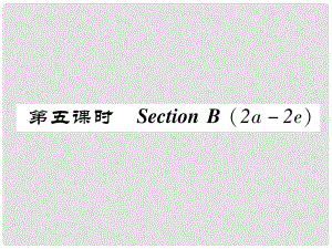 八年級(jí)英語上冊(cè) Unit 7 Will people have robots（第5課時(shí)）Section B（2a2e）同步作業(yè)課件 （新版）人教新目標(biāo)版