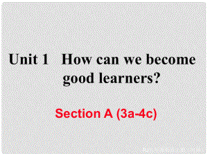 九年級英語全冊 Unit 1 How can we become good learners Section A（3a4c）習(xí)題課件 （新版）人教新目標(biāo)版