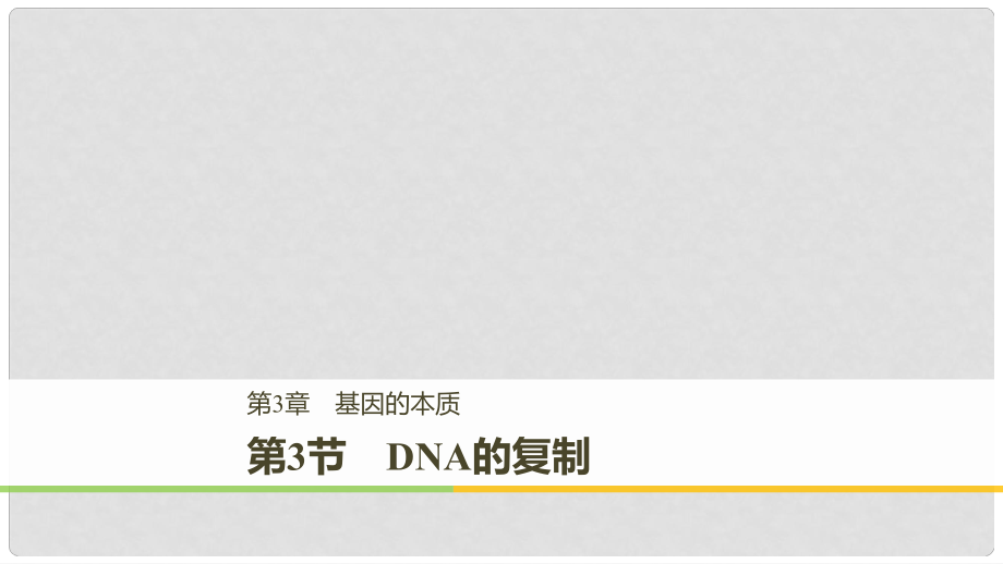 高中生物 第三章 基因的本質(zhì) 第3節(jié) DNA的復(fù)制課件 新人教版必修2_第1頁(yè)