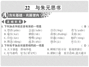 廣西桂林市九年級(jí)語(yǔ)文下冊(cè) 第六單元 22 與朱元思書(shū)習(xí)題課件 語(yǔ)文版