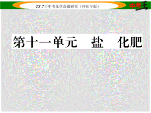 中考化學(xué)命題研究 第一編 教材知識(shí)梳理篇 第十一單元 鹽 化肥（精練）課件