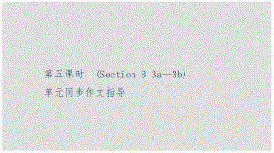 九年級(jí)英語(yǔ)全冊(cè) Unit 5 What are the shirts made of（第5課時(shí)）Section B（3a3b）習(xí)題課件 （新版）人教新目標(biāo)版