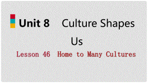 九年級英語下冊 Unit 8 Culture Shapes Us Lesson 46 Home to Many Cultures課件 （新版）冀教版