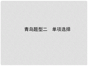 山東省青島市中考英語復(fù)習(xí) 題型二 單項選擇課件