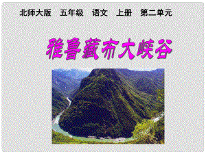 五年级语文上册 雅鲁藏布大峡谷课件 北师大版