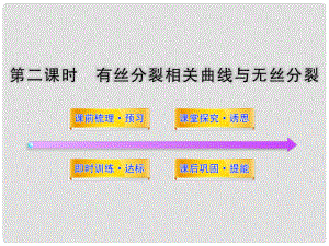 高中生物 第五章 細(xì)胞增殖、分化、衰老和凋亡 5.1.2 有絲分裂相關(guān)曲線與無(wú)絲分裂課件 蘇教版必修1