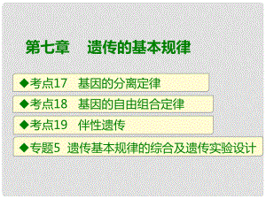 高考生物總復習 第七章 遺傳的基本規(guī)律課件