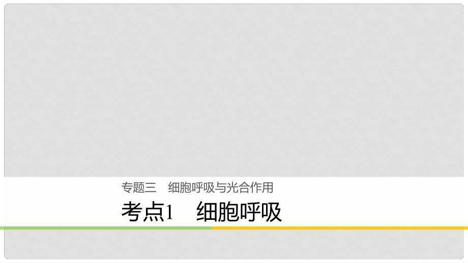 高考生物二輪專題復習 專題三 細胞呼吸與光合作用 考點1 細胞呼吸講練課件 新人教版_第1頁