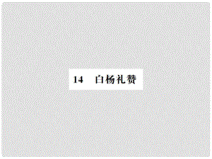 八年級語文上冊 第4單元 14 白楊禮贊習題課件 新人教版1