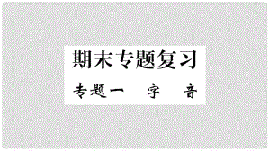 九年級語文上冊 期末專題復(fù)習(xí)一 字音課件 新人教版