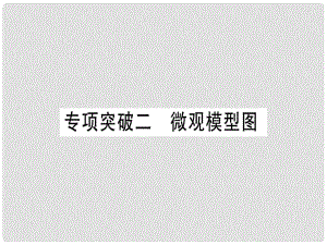 中考化學復習 專項突破二 微觀模型圖課件