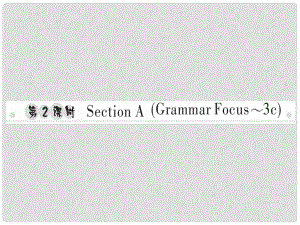 八年級(jí)英語(yǔ)上冊(cè) Unit 6 I’m going to study computer science（第2課時(shí)）Section A（Grammar Focus3c）習(xí)題課件 （新版）人教新目標(biāo)版