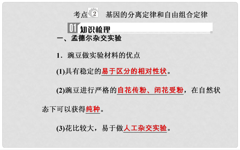 高中生物學業(yè)水平復習 專題八 遺傳的基本規(guī)律 考點2 基因的分離定律和自由組合定律課件_第1頁