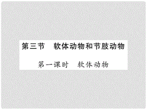 八年級生物上冊 第五單元 第一章 第三節(jié) 軟體動物和節(jié)肢動物（第1課時 軟體動物）習(xí)題課件 （新版）新人教版