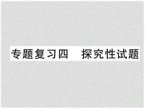 九年級化學下冊 期末專題復習 專題復習4 探究性試題作業(yè)課件 （新版）新人教版