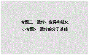 高考生物二輪復(fù)習(xí) 小專題5 遺傳的分子基礎(chǔ)課件