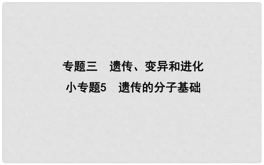 高考生物二輪復(fù)習(xí) 小專題5 遺傳的分子基礎(chǔ)課件_第1頁