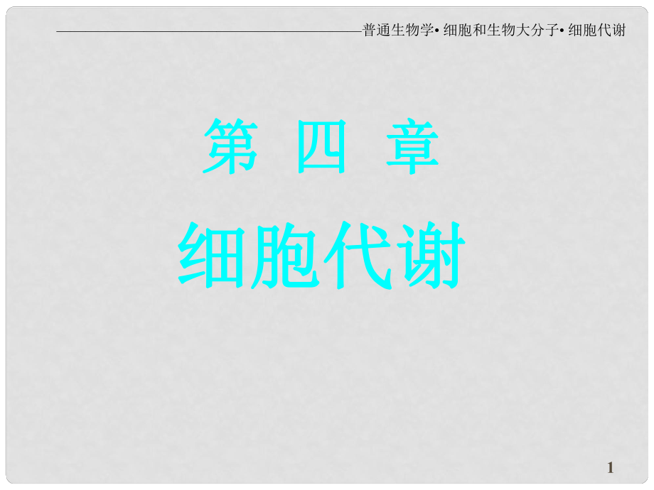 江西省德興市高中生物 細胞與生物大分子 4 細胞代謝課件_第1頁