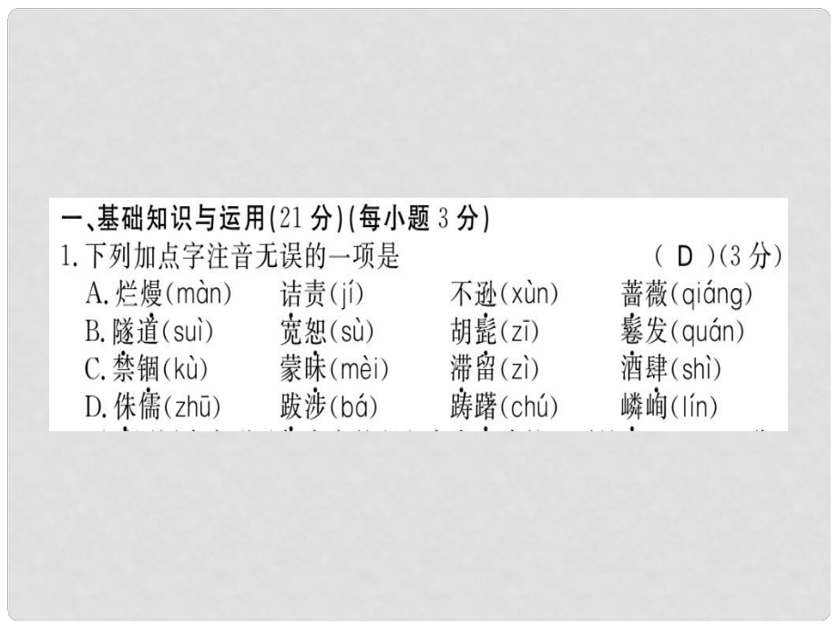 八年級(jí)語(yǔ)文上冊(cè) 期末習(xí)題課件 新人教版_第1頁(yè)