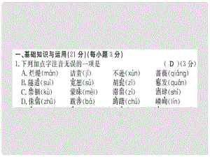 八年級(jí)語(yǔ)文上冊(cè) 期末習(xí)題課件 新人教版