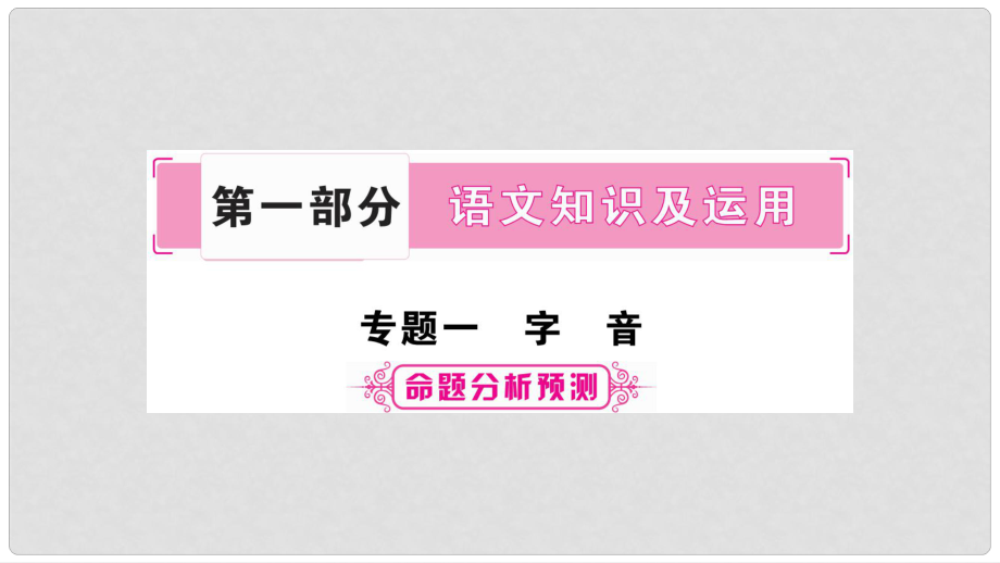 中考語文總復(fù)習(xí) 第1部分 語文知識及應(yīng)用 專題1 字音課件_第1頁