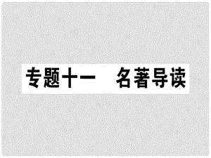 七年級語文上冊 專題十一 名著導讀習題課件 新人教版