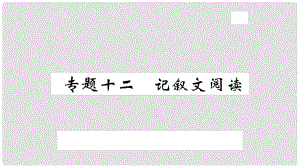 九年級語文上冊 專題十二 記敘文閱讀習題課件 新人教版