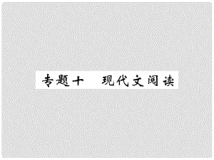 七年級語文下冊 期末復(fù)習(xí) 專題十 現(xiàn)代文閱讀課件 新人教版