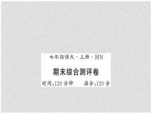 七年級語文上冊 期末習(xí)題課件 新人教版