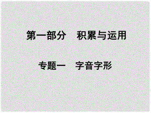 湖南省中考语文面对面 专题一 字音字形复习课件