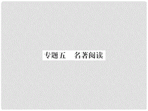 九年級語文上冊 期末專題復習五 名著閱讀習題課件 新人教版