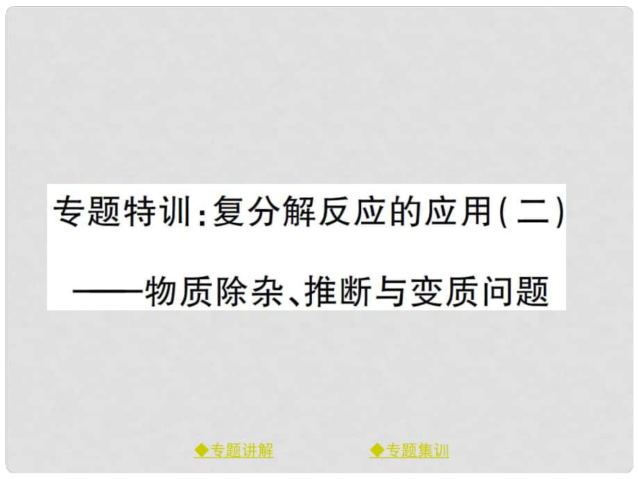 九年级化学下册 专题特训 复分解反应的应用（二）习题课件 （新版）鲁教版_第1页