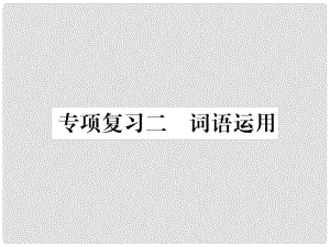 七年級語文上冊 專項復(fù)習(xí)二 詞語運用習(xí)題課件 新人教版