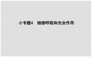 高考生物二輪復習 小專題4 細胞呼吸和光合作用課件