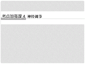 高考生物一輪復(fù)習(xí) 考點(diǎn)加強(qiáng)課4 神經(jīng)調(diào)節(jié)課件