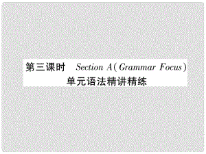 九年級(jí)英語全冊 Unit 5 What are the shirts made of（第3課時(shí)）Section A（Grammar Focus）習(xí)題課件 （新版）人教新目標(biāo)版