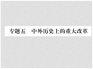 中考歷史復習 第2部分 熱點專題速查 專題5 中外歷史上的重大改革課件