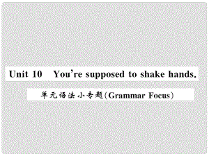 九年级英语全册 Unit 10 You’re supposed to shake hands语法小专题习题课件 （新版）人教新目标版3