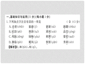 八年級(jí)語(yǔ)文上冊(cè) 第四單元習(xí)題課件 新人教版