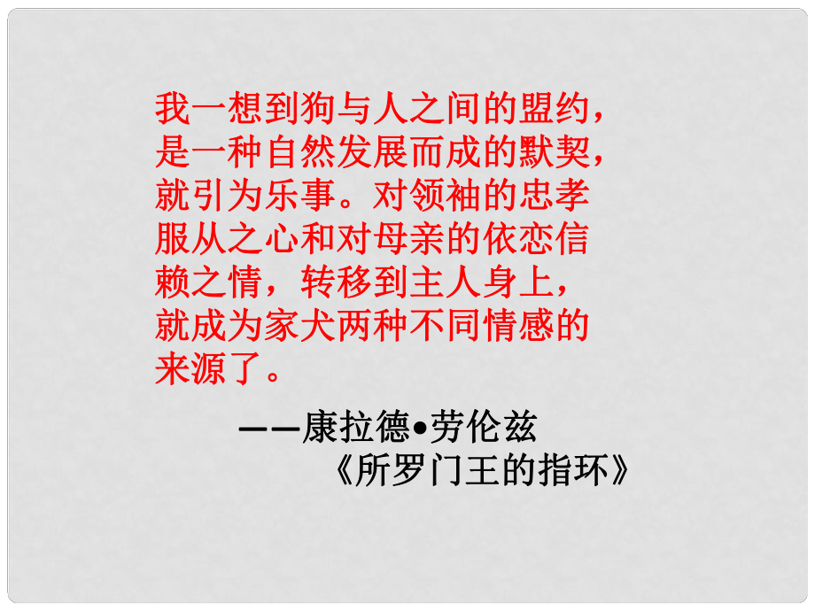 湖南省益陽市七年級語文上冊 第五單元 19動物笑談課件 新人教版_第1頁