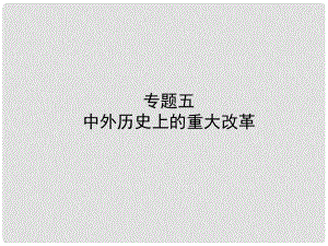 山東省東營(yíng)市中考?xì)v史復(fù)習(xí) 專題五 中外歷史上的重大改革課件