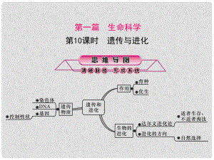 浙江省中考科學(xué)復(fù)習(xí) 第一篇 生命科學(xué) 第10課時 遺傳與進化課件