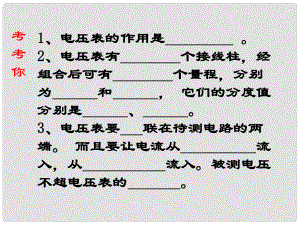 八年級(jí)物理 第六章《電壓 電阻》探究串 并聯(lián)電路電壓的規(guī)律課件 人教新課標(biāo)版