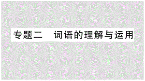 七年級(jí)語(yǔ)文上冊(cè) 期末專題復(fù)習(xí)二 詞語(yǔ)的理解與運(yùn)用課件 新人教版