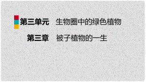 七年級生物上冊 第三單元 第三章 綠色植物與生物圈的水循環(huán) 第1課時(shí) 蒸騰作用課件 （新版）新人教版