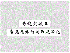 中考化學(xué)復(fù)習(xí) 第2編 重點專題突破篇 專題突破5 常見氣體的制取及凈化（精講）課件