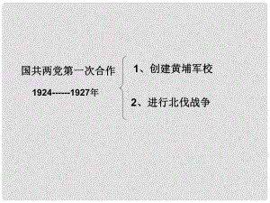 安徽省中考?xì)v史總復(fù)習(xí) 北伐戰(zhàn)爭課件