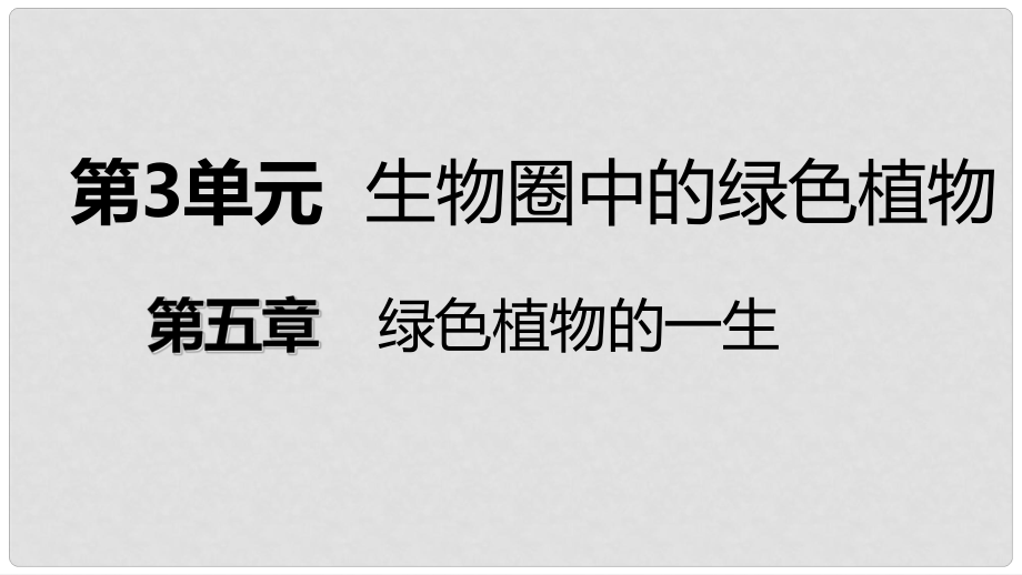 七年級生物上冊 第三單元 第五章 第三節(jié) 植物生長需要水和無機鹽課件 （新版）蘇教版_第1頁